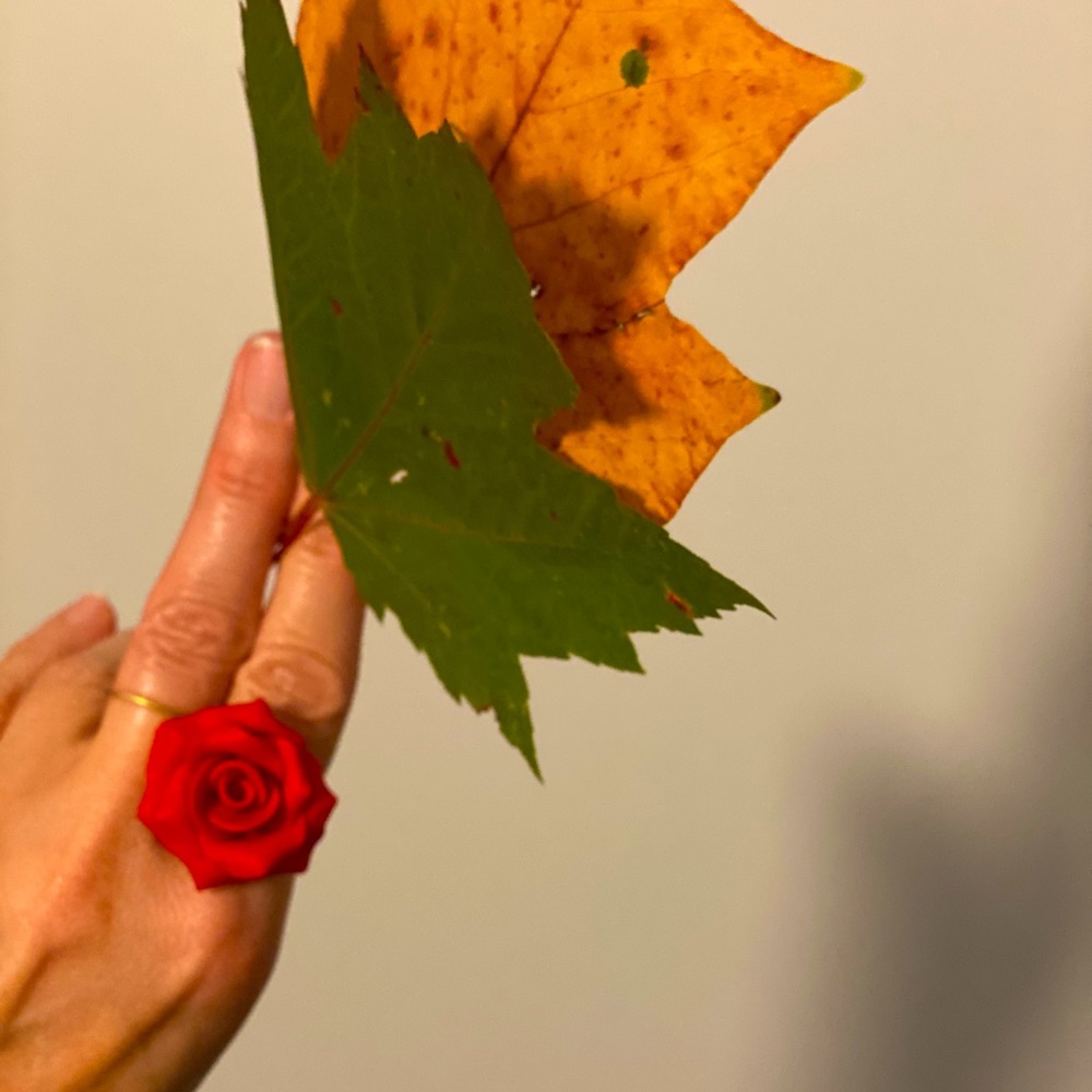 Red Rose ring
